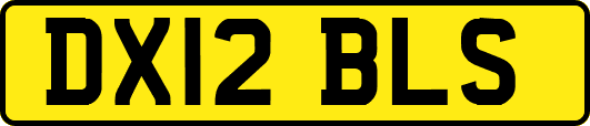 DX12BLS
