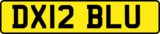 DX12BLU