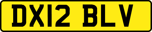 DX12BLV