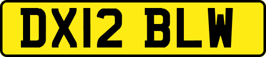 DX12BLW