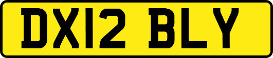 DX12BLY