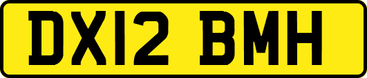 DX12BMH