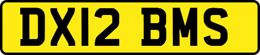 DX12BMS