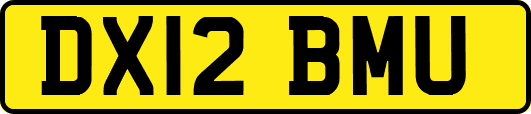 DX12BMU