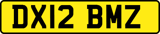 DX12BMZ