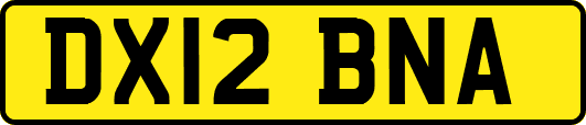 DX12BNA