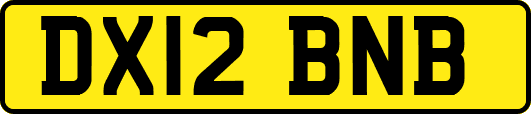 DX12BNB