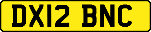DX12BNC