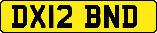 DX12BND