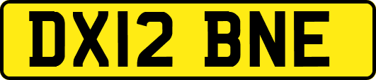 DX12BNE