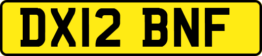 DX12BNF