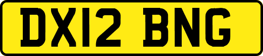 DX12BNG