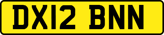 DX12BNN