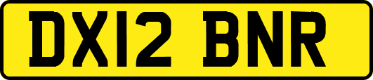 DX12BNR