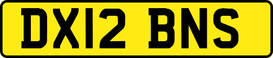 DX12BNS