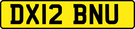 DX12BNU