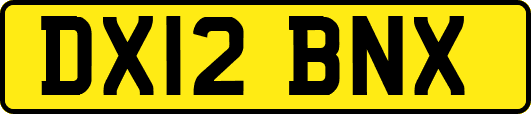 DX12BNX