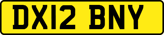 DX12BNY