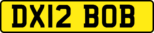 DX12BOB