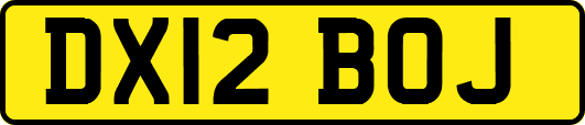 DX12BOJ