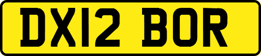 DX12BOR