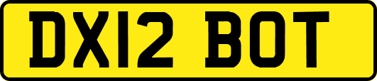 DX12BOT