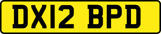 DX12BPD
