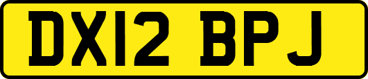 DX12BPJ
