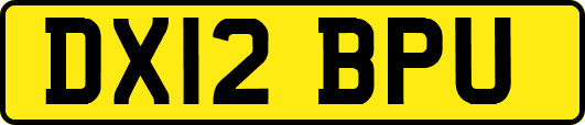 DX12BPU