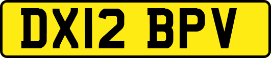 DX12BPV