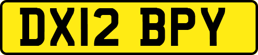 DX12BPY