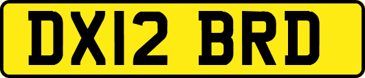 DX12BRD
