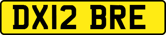 DX12BRE