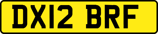 DX12BRF