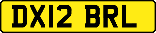 DX12BRL