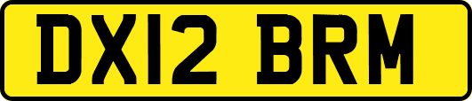 DX12BRM
