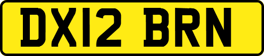 DX12BRN