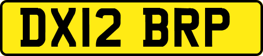 DX12BRP
