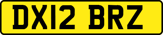 DX12BRZ