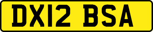 DX12BSA