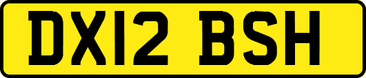 DX12BSH