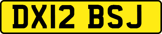 DX12BSJ