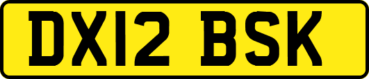DX12BSK