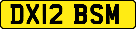 DX12BSM