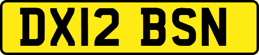DX12BSN