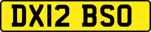DX12BSO