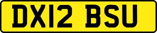 DX12BSU