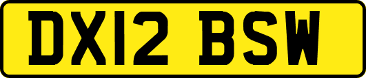 DX12BSW