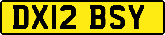 DX12BSY