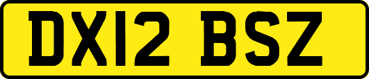 DX12BSZ
